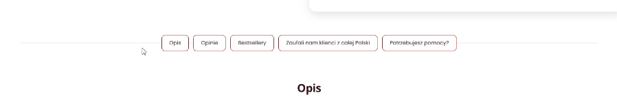 Nawigacja Turbo w Storefront — przejścia bez przeładowania strony